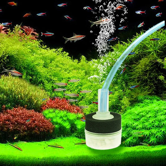 Mini Aquarium Sponge Filter